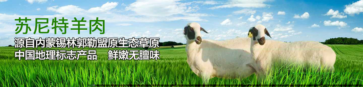 苏尼特羊肉